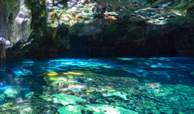 Güzel Cenote Park Minotauro 'da kireçtaşı kayaları turkuaz mavi su ve doğa ormanı Xpu Ha Quintana Roo Mexico' da..