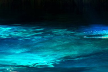 Güzel Cenote Park Minotauro 'da kireçtaşı kayaları turkuaz mavi su ve doğa ormanı Xpu Ha Quintana Roo Mexico' da..