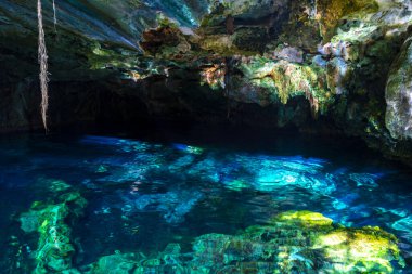 Beautiful Cenote Park Minotauro with limestone rocks turquoise blue green water and nature jungle around it in Xpu Ha Quintana Roo Mexico. clipart