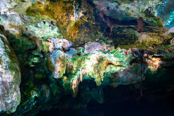 Güzel Cenote Parkı Minotauro 'da kireçtaşı kayaları ağaç kökleri ve yer altındaki doğa ormanları Xpu Ha Quintana Roo Meksika' da..