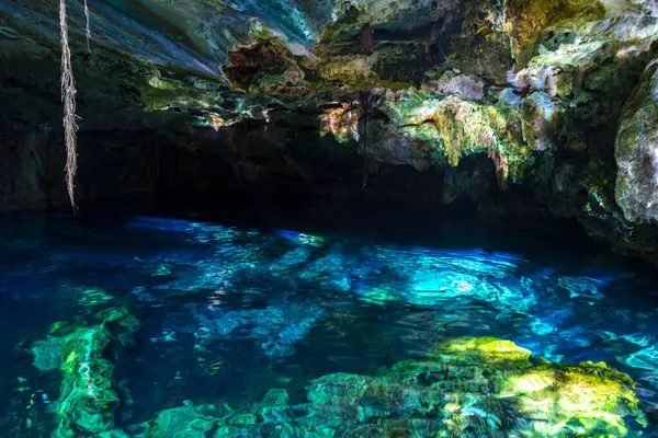Güzel Cenote Park Minotauro 'da kireçtaşı kayaları turkuaz mavi su ve doğa ormanı Xpu Ha Quintana Roo Mexico' da..