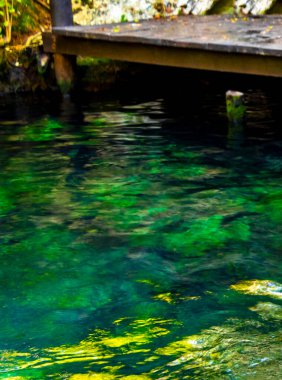 Beautiful Cenote Park Minotauro with limestone rocks turquoise blue green water and nature jungle around it in Xpu Ha Quintana Roo Mexico. clipart