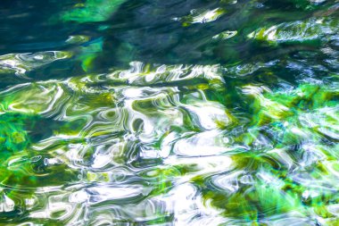 Güzel Cenote Park Minotauro 'da kireçtaşı kayaları turkuaz mavi su ve doğa ormanı Xpu Ha Quintana Roo Mexico' da..