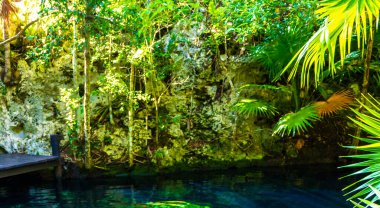 Güzel Cenote Park Minotauro 'da kireçtaşı kayaları turkuaz mavi su ve doğa ormanı Xpu Ha Quintana Roo Mexico' da..