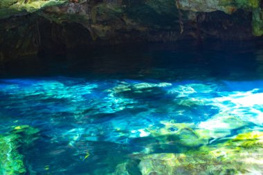 Güzel Cenote Park Minotauro 'da kireçtaşı kayaları turkuaz mavi su ve doğa ormanı Xpu Ha Quintana Roo Mexico' da..