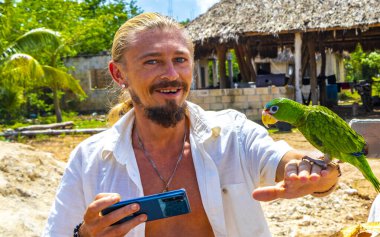 Quintana Roo Mexico 'da Solferino Lazaro Cardenas' ta elinde yeşil papağan olan bir adam..