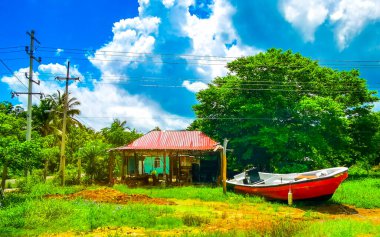 Quintana Roo Mexico 'daki Chiquila Lazaro Cardenas' taki tropikal ormanda kulübe ve tekne..