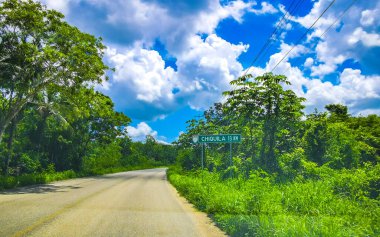 Chiquila Quintana Roo Meksika 11. Temmuz 2024, Quintana Roo Mexico 'daki Lazaro Cardenas' ta Chiquila 'nın orman yolundaki iskelesine giden yol işaretleri ve bilgi panoları..