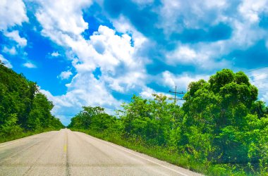 Tropikal doğa ormanlarından geçerek Quintana Roo Mexico 'daki Chiquila Lazaro Cardenas' a doğru sür..