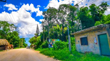 Köyden geçerken Quintana Roo Mexico 'daki Solferino Lazaro Cardenas' ta halka açık binalar ve tropikal ormanlar var..