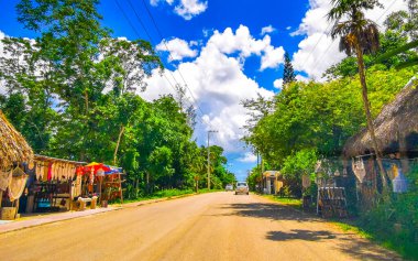 Köyden geçerken Quintana Roo Mexico 'daki Solferino Lazaro Cardenas' ta halka açık binalar ve tropikal ormanlar var..