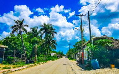 Köyden geçerken Quintana Roo Mexico 'daki Solferino Lazaro Cardenas' ta halka açık binalar ve tropikal ormanlar var..
