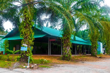 Ao Nang Krabi Tayland 19 numara. Ekim 2018 Güneydoğu Asya 'daki Ao Nang Amphoe Mueang Krabi Tayland' da tropikal kasaba ve ormandaki Muay Tayland boks evi..