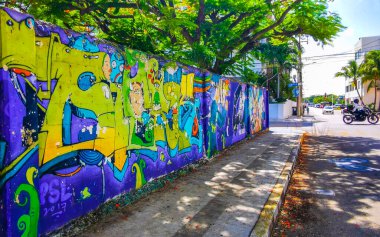 Playa del Carmen Meksika sokaklarında resimler, grafiti sanatı ve sembollerle dolu sanatsal duvarlar..