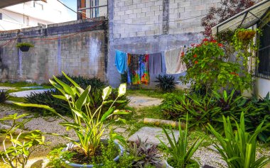 Playa del Carmen Quintana Roo Meksika 'da tropik palmiyeler ve diğer bitki ve ağaçlarla dolu bir bahçe ya da park.