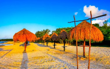 Palapa thatched roofs palm trees parasols umbrellas and sun loungers at the beach resort hotel on tropical mexican beach in Playa del Carmen Mexico. clipart