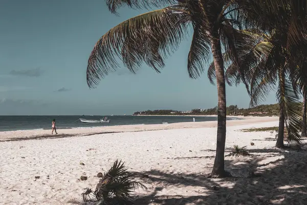Playa del Carmen Quintana Roo Meksika 'da berrak turkuaz mavi su ve palmiye ağaçları ile tropik Meksika Karayip sahili manzarası.