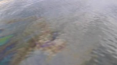 Güneydoğu Asya 'daki Ao Nang Amphoe Mueang Krabi Tayland' da petrol ve atıkla kirletilmiş yağlı su.