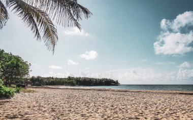 Playa del Carmen Quintana Roo Meksika 'da berrak turkuaz mavi su ve palmiye ağaçları ile tropik Meksika Karayip sahili manzarası.