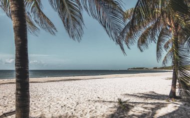 Playa del Carmen Quintan Roo Meksika 'da berrak turkuaz mavi su ve palmiye ağaçları ile tropik Meksika Karayip sahili manzarası.
