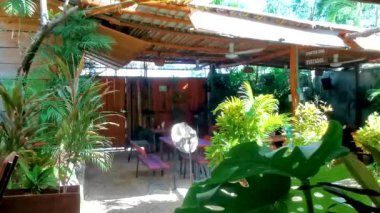 Playa del Carmen Quintana Roo Mexico 'da masa sandalyeleri dekorasyon masası ve bitkilerle dolu bir restoran barının içinde..