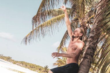 Playa del Carmen Quintana Roo Meksika 'daki palmiye ağaçlarıyla kumsala hindistan cevizi atan adam..
