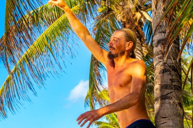 Playa del Carmen Quintana Roo Meksika 'daki palmiye ağaçlarıyla kumsala hindistan cevizi atan adam..