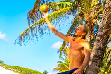 Playa del Carmen Quintana Roo Meksika 'daki palmiye ağaçlarıyla kumsala hindistan cevizi atan adam..