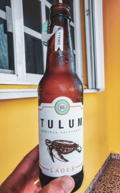 Playa del Carmen Quintana Roo Meksika 23. Temmuz 2024 Playa del Carmen Quintana Roo Meksika 'da elinde bir şişe Tulum birası.