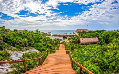 Tulum Panorama Ulusal Parkı orman sahili sahili deniz kıyısı ve Tulum Quintana Roo Meksika 'da ahşap merdivenleri olan mavi gökyüzü.
