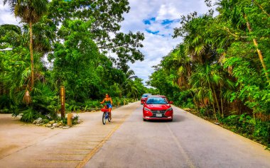 Tulum Quintana Roo Mexico 20. Ağustos 2024 Yolu ve hareket halindeki arabalar Tulum Quintana Roo Mexico 'da tropikal ormanlarda.
