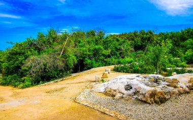 Yeşil tropikal orman ve Tulum palmiyeleri Quintana Roo Mexico 'da mavi gökyüzü.