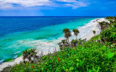 Playa Santa Fe tropik cennet plaj manzarası beyaz kum turkuaz mavi su ve Tulum Quintana Roo Meksika 'da yeşil palmiye ağaçları.
