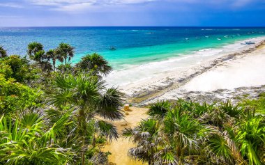 Playa Santa Fe tropik cennet plaj manzarası beyaz kum turkuaz mavi su ve Tulum Quintana Roo Meksika 'da yeşil palmiye ağaçları.