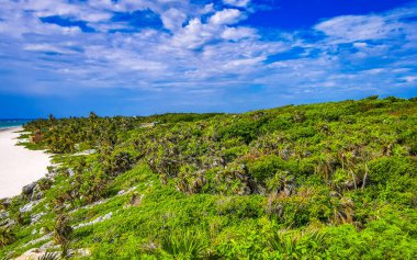 Playa Santa Fe tropik cennet plaj manzarası beyaz kum turkuaz mavi su ve Tulum Quintana Roo Meksika 'da yeşil palmiye ağaçları.