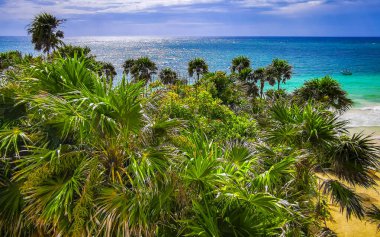 Playa Santa Fe tropik cennet plaj manzarası beyaz kum turkuaz mavi su ve Tulum Quintana Roo Meksika 'da yeşil palmiye ağaçları.