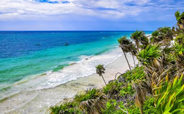 Playa Santa Fe tropik cennet plaj manzarası beyaz kum turkuaz mavi su ve Tulum Quintana Roo Meksika 'da yeşil palmiye ağaçları.