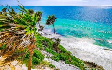 Playa Santa Fe tropik cennet plaj manzarası beyaz kum turkuaz mavi su ve Tulum Quintana Roo Meksika 'da yeşil palmiye ağaçları.