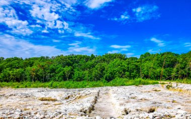 Yeşil tropikal orman ve Tulum palmiyeleri Quintana Roo Mexico 'da mavi gökyüzü.