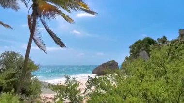Antik Tulum 'daki doğal deniz manzaralı kayalar, Tulum' daki tropikal doğal orman palmiyesinde tapınak kalıntıları ve sanat eserleriyle Maya bölgesini harabeye çevirir..