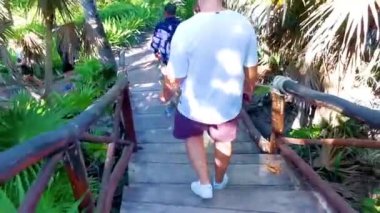 Tulum Quintana Roo Meksika 22. Kasım 2023 Tropikal doğal orman palmiye ağaçları ve antik Tulum 'daki yürüyüş yolu Tulum Meksika' daki tapınak ve harabeleriyle Maya bölgesini harabeye çevirir..