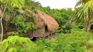 Tulum Quintana Roo Mexico 'daki yeşil tropikal ormanda tahta Maya kulübeleri.
