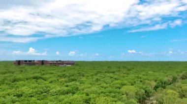 Tulum Panorama Ulusal Parkı Tulum Quintana Roo Mexico 'daki tropikal orman manzarası ve mavi gökyüzü.