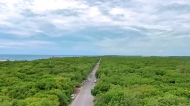 Tulum Panorama Ulusal Parkı Tulum Quintana Roo Meksika 'da orman sahili sahili ve mavi gökyüzü.