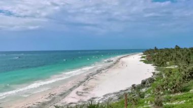 Playa Santa Fe tropik cennet plaj manzarası beyaz kum turkuaz mavi su ve Tulum Quintana Roo Meksika 'da yeşil palmiye ağaçları.