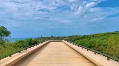 Playa Santa Fe 'deki gözlem masasında Tulum Quintana Roo Mexico' nun tropikal milli parkıyla yürüyorum..
