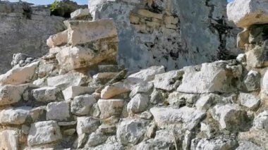 Antik Tulum 'da kayalıklardaki dev Iguana kertenkele hayvanı Tulum Meksika' daki tropik doğal orman palmiyesinde tapınak kalıntıları ve eserlerle Maya bölgesini harap etti..