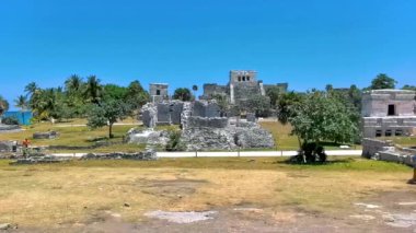 Antik Tulum, Tulum Meksika 'daki tropik doğal orman palmiyeleri manzarasında tapınak kalıntıları ve eserlerle Maya bölgesini harabeye çeviriyor..
