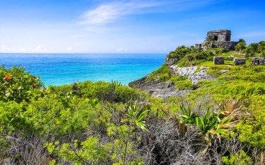 Antik Tulum 'daki doğal deniz manzarası ve sahil manzarası Tulum Meksika' daki tropik doğal orman palmiyesinde rüzgarın tapınağıyla Maya bölgesini harabeye çevirir..
