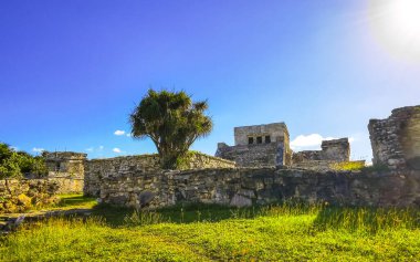 Antik Tulum, Tulum Meksika 'daki tropik doğal orman palmiyeleri manzarasında tapınak kalıntıları ve eserlerle Maya bölgesini harabeye çeviriyor..
